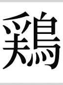 鶏